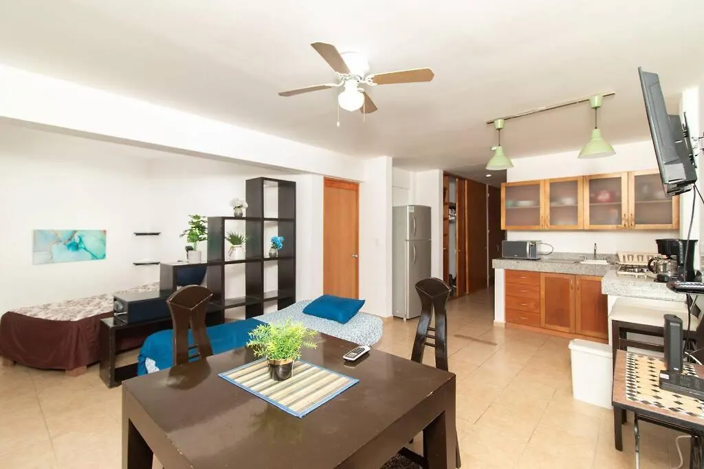 Large Penthouse , Private Terrace Apartment Playa del Carmen 0*,  Mexico